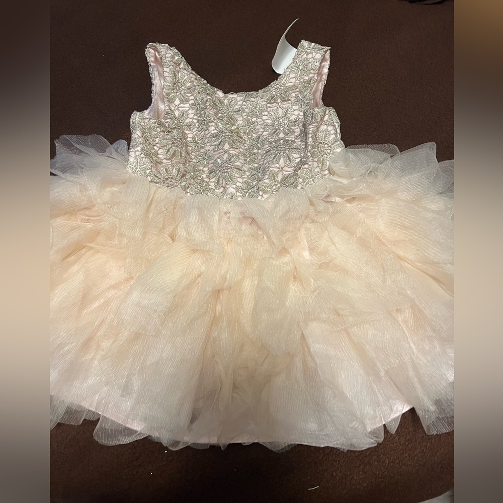 Elegant Pink Tulle Dress
Size 2/3Y New!!